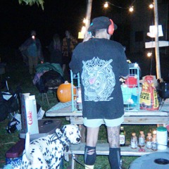 DEMO///mewtwotrax/// SET-4 /// WISHING WELL FARM #1 /// First Sober Set