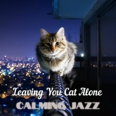 Relaxing Song for Cats