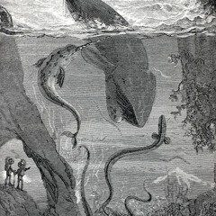 Frequency Whales (Cosmic Acid)