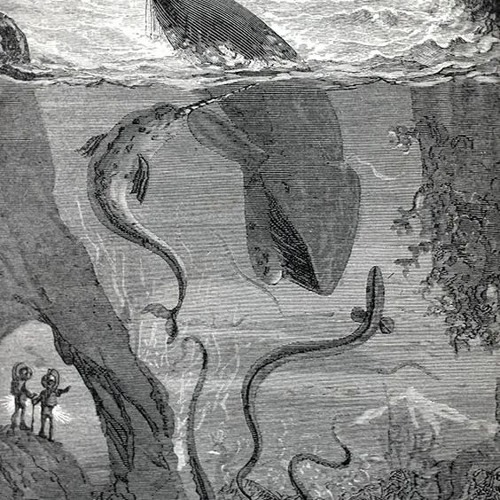 Frequency Whales (Cosmic Acid)