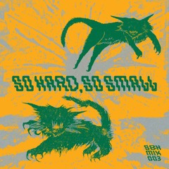 SBH mix 003 _SO HARD,SO SMALL(clips)
