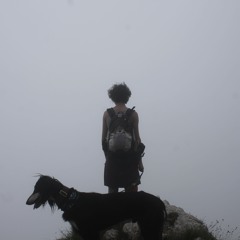 nn c'hai l'ayahuasca