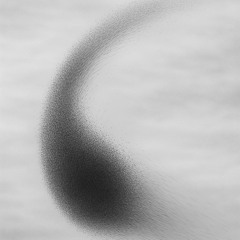 Murmuration 2, for 13 guitars