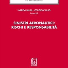 Download Book [PDF] Sinistri aeronautici: rischi e responsabilit? (Italian Edition)