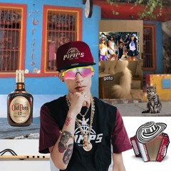 T KIERO XINGA GATA ONLY EDIT - BZZHOUND / FREE DOWNLOAD