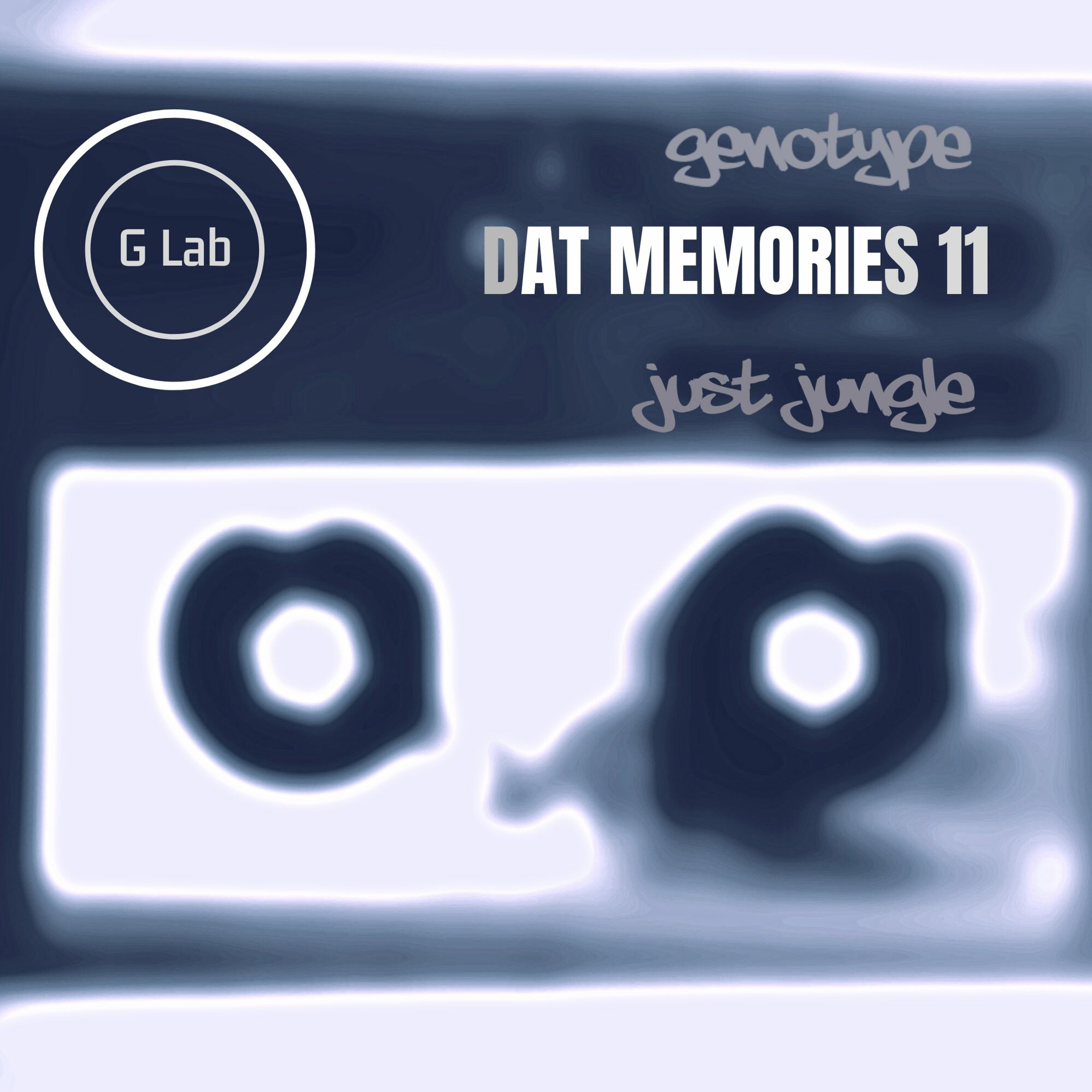Just Jungle / Genotype   DAT Memories Vol 11 episode artwork