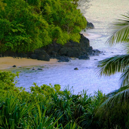 Secret Beach Ocean Waves White Noise (75 Minutes)