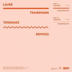 Lauer - Trainmann (Tensnake Frenchman Remix)