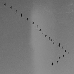 Dima Kachan - than just writing