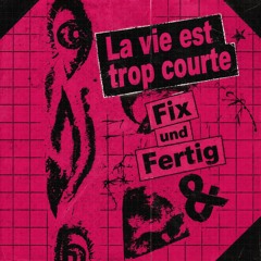 La vie est trop courte (Live Caveclub Hf 130826)