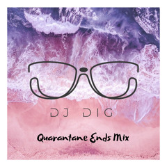 Dj Dig - Quarantine Ends mix