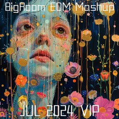 BigRoom🔥EDM🔥Mashup🔥VOL.613(194New Pack)(Free Download)(Free Password)