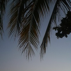 Hollow Coves Letting Go