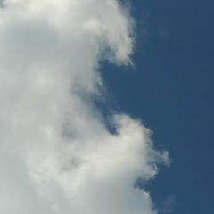 I'll Fly With You (Tim Sane Orchestral Version)