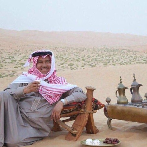 حملت من جور العنآ فوق ماطيق