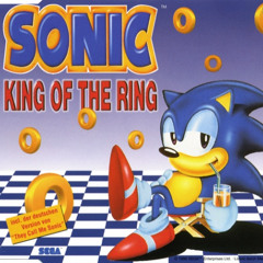 Hey, Hier Kommt Sonic (Die Dt. Version Von "They Call Me Sonic")