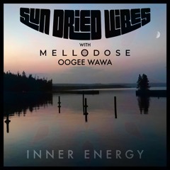 Sun-Dried Vibes, Mellodose, Oogee Wawa - "Inner Energy"
