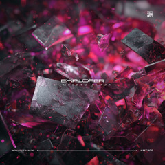 Humberto Plaza- Explorer35