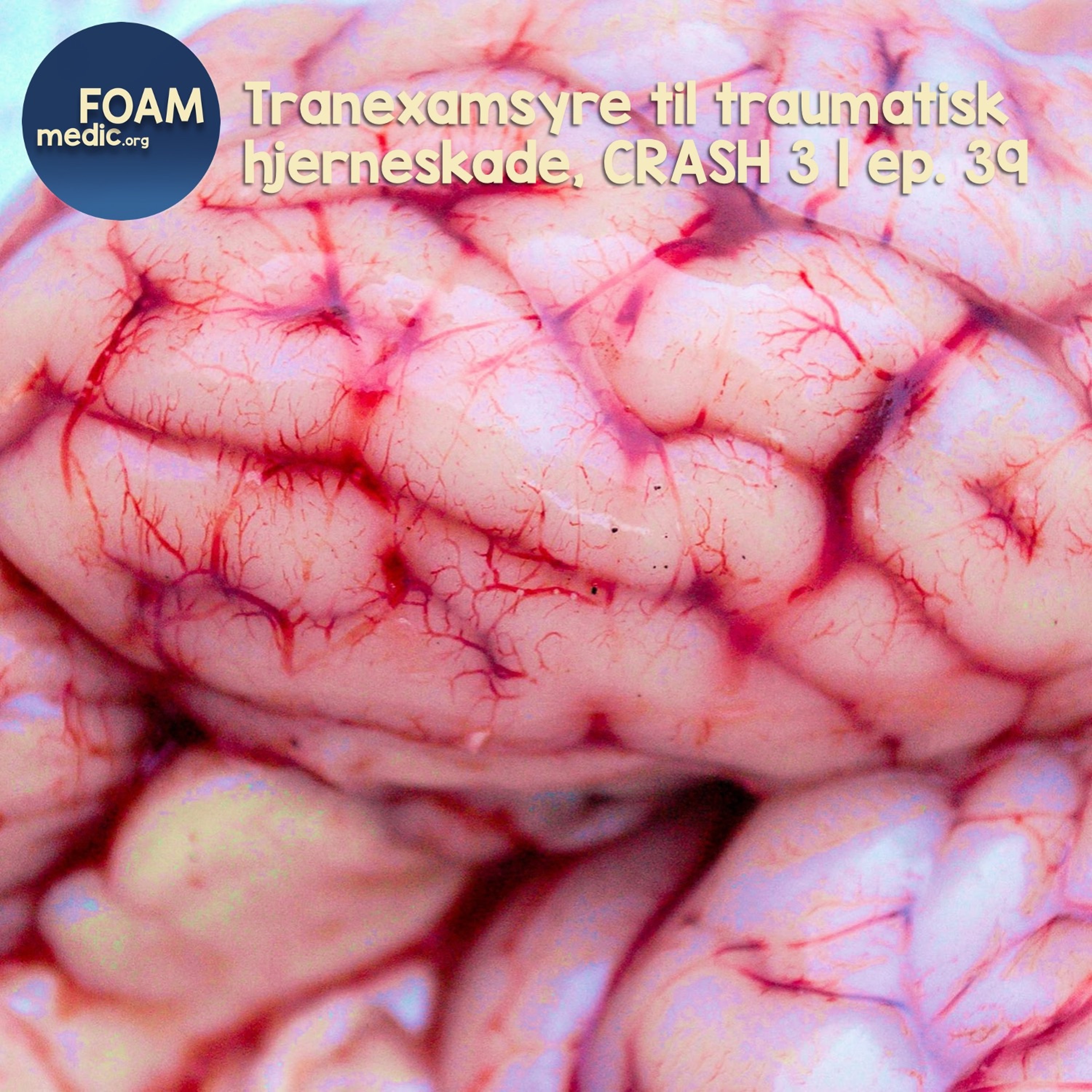 FOAMmedic Podcast