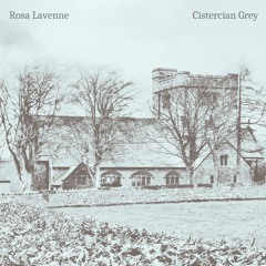 Cistercian Grey
