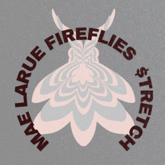 fireflies mae 5