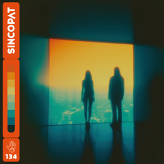 Premiere: Amirali - Promise [Sincopat]