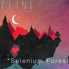 Selenium Forest - Plini (Baptiste F. cover)