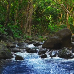 Water Sounds For Studying, Relaxation Or Sleep | Soothing Stream Through Forest (75 Minutes)