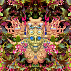 Shpongle – The God Particle – CD (EP, Limited Edition