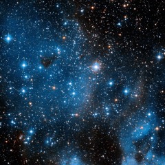 Looking At The Stars