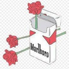 Fuse (Marlboro double mint)