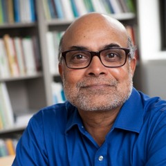 Episode 28: An Interview with Prabhu Pingali