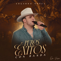 Que Chulada (En Vivo)