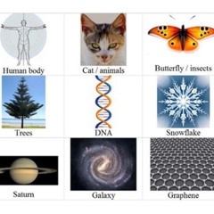 Rolling Without Slipping