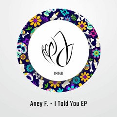 Aney F. - I Told You (Original Mix) - Innocent Music