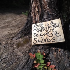 Seven Roots of Wellness