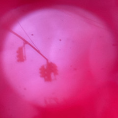 Envious (Prod.malloy)