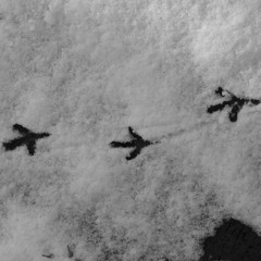 WhatsApp-Audio-2025-06-09-at-13.41.21