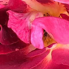 GUNS - London (SOVRN Remix)