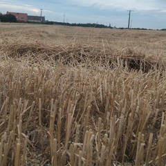 hard tek acid👿👿👿💪