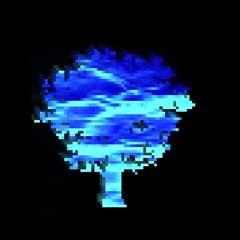 Lost where the forest would grow