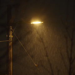 Lonely Tree - Sequence 2503_13