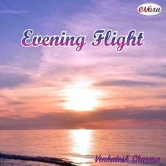 Evening Flight