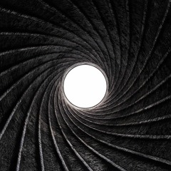 DUBDIVE - HEAVY CHAMBER (FLARE VIP)(FREE DL)