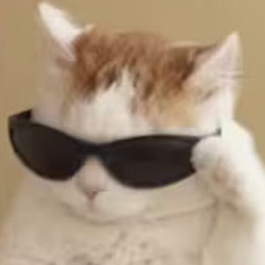 HIT THAT @OUTCATZ MEGALAB