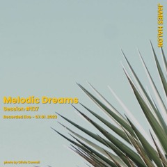 Melodic Dreams #137 - July 1st 2023 [live]