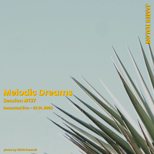 Melodic Dreams #137 - July 1st 2023 [live]