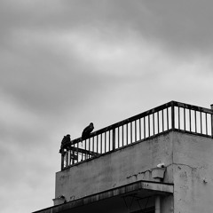 30-Minute Lounge Mix 20251220 LIliblue DJ mix