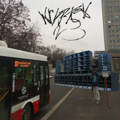 He was a Trojská boy, she was a Pelc Tyrolka girl