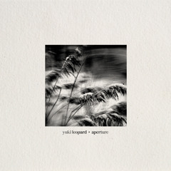 Aperture
